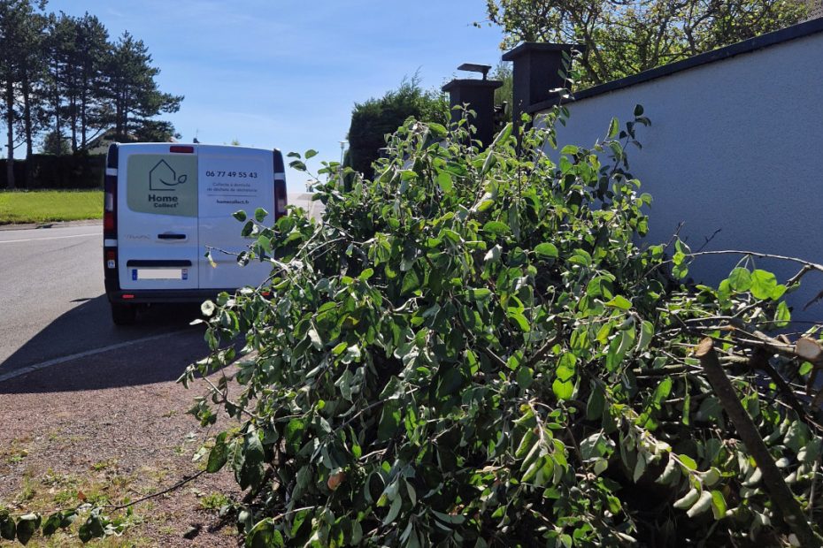 Collecte déchets verts grande propriété Carolles
